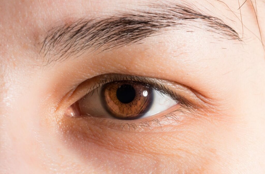 Close-up of a human eye with a brown iris, well-defined eyelashes, and a detailed view of the surrounding skin and eyebrow.