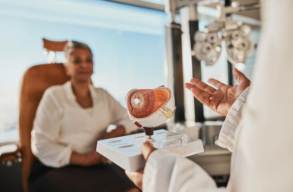 An optometrist uses an anatomical model of the eye to explain the details of cataract surgery to their patient.