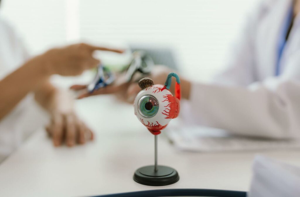 Close-up of an anatomical eye model on a desk, with blurred doctors in the background discussing eye health.